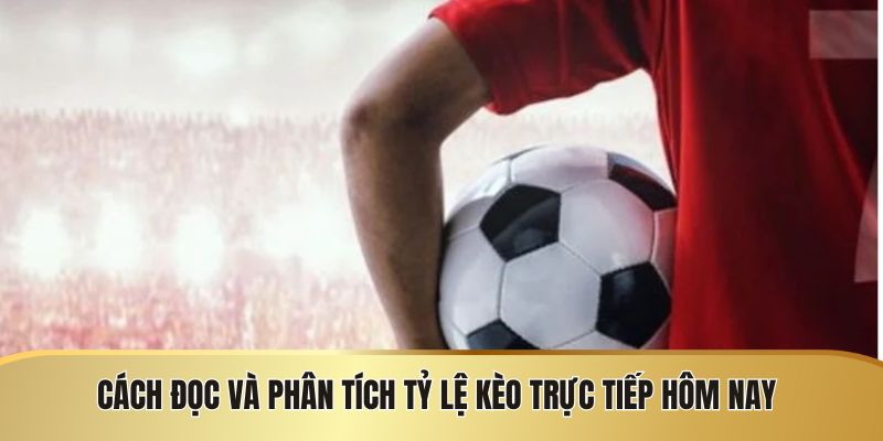 Cách đọc và phân tích tỷ lệ kèo nhà cái