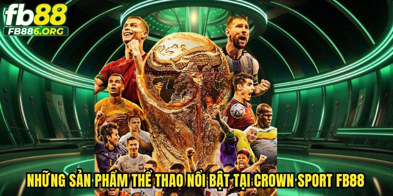 Những sản phẩm thể thao nổi bật tại Corwn sport