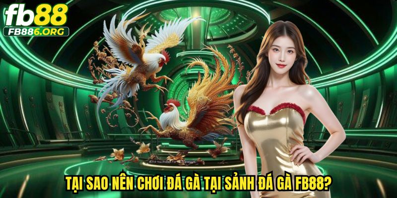 Trải nghiệm người dùng mượt mà, giao diện trực quan đẹp.