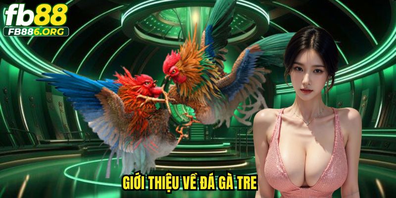 Giới thiệu về đá gà tre