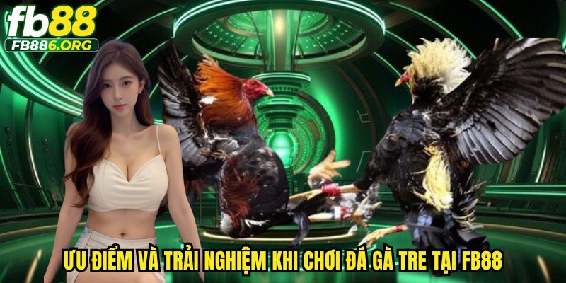 Trải nghiệm đá gà trực tuyến sống động tại FB88 mỗi ngày