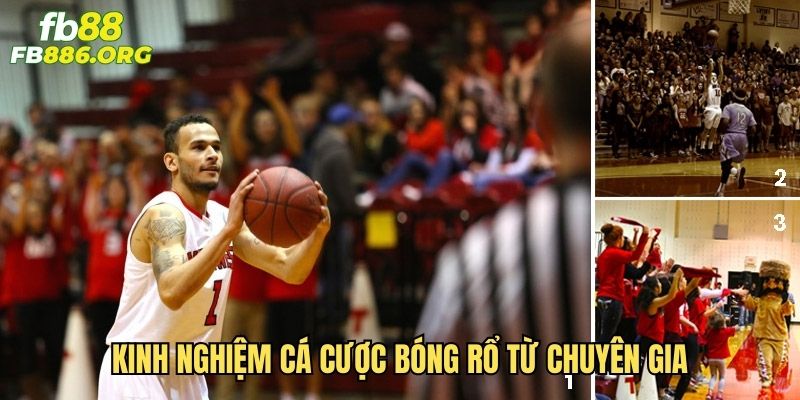 Kinh nghiệm cá cược bóng rổ từ chuyên gia