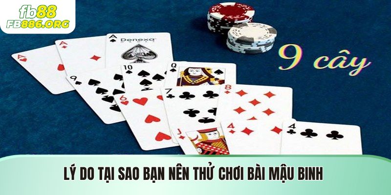 Lý do bạn nên thử chơi bài mậu binh
