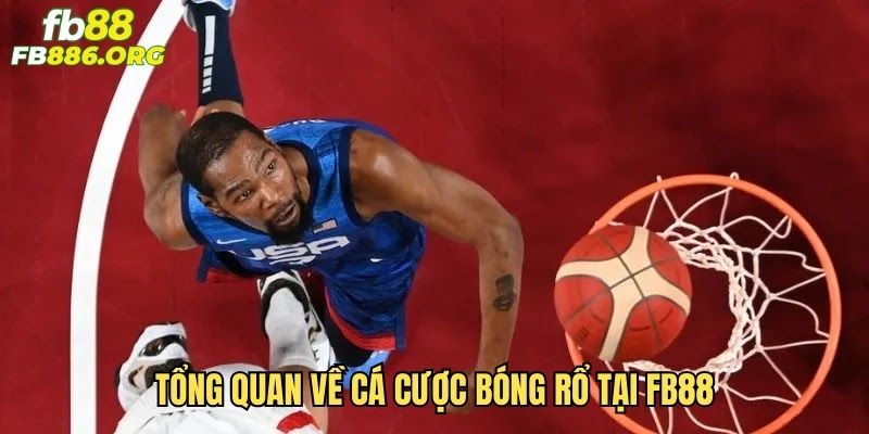 Tổng quan về cá cược bóng rổ tại fb88