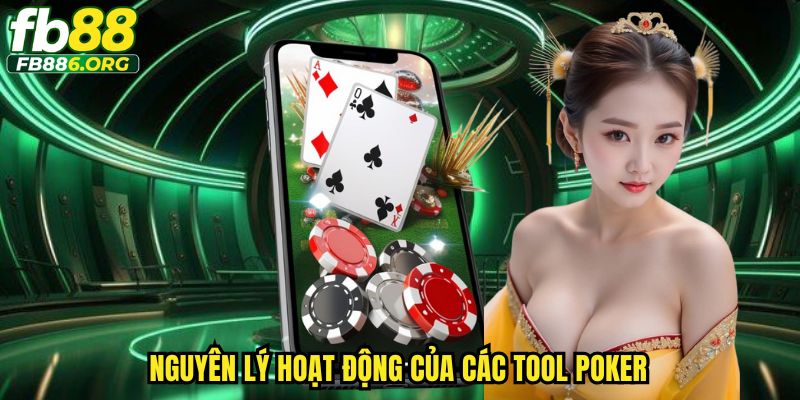 Cơ chế phân tích của tool dựa trên dữ liệu thực tế