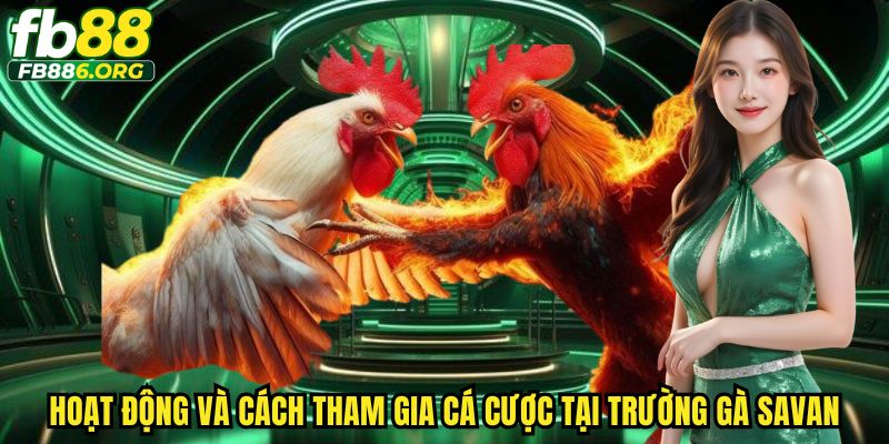 Hệ thống tổ chức chuyên nghiệp nâng tầm trải nghiệm cá cược