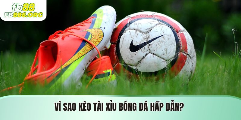 Lý do kèo tài xỉu bóng đá hấp dẫn